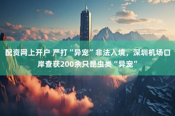 配资网上开户 严打“异宠”非法入境，深圳机场口岸查获200余只昆虫类“异宠”
