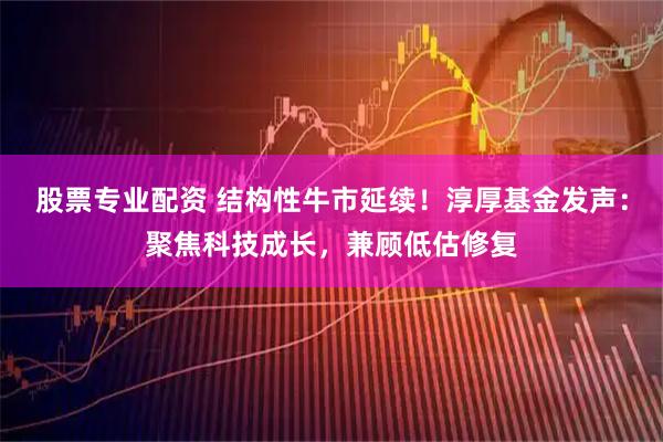 股票专业配资 结构性牛市延续！淳厚基金发声：聚焦科技成长，兼顾低估修复